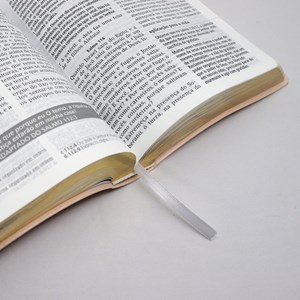 Bíblia De Estudo Joyce Meyer | NVI | Letra Grande | Capa Luxo Salmão