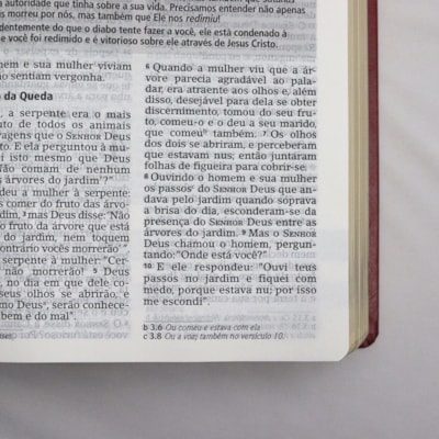 image_c4c7b337-a8d7-46c2-a9f9-ff62ff147715