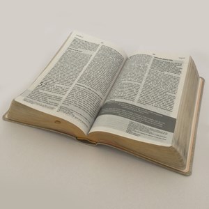 Bíblia De Estudo Joyce Meyer | NVI | Letra Média | Capa Azul Tifany