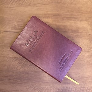 Bíblia De Estudo Joyce Meyer | NVI | Letra Média | Capa Bordo
