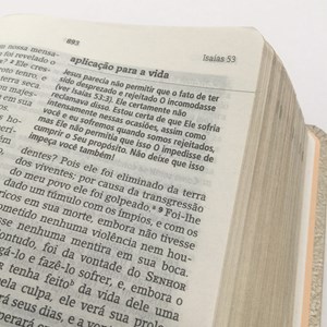 Bíblia De Estudo Joyce Meyer | NVI | Letra Média | Capa Bordo
