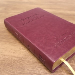 Segunda imagem do produto Bíblia De Estudo Joyce Meyer | NVI | Letra Média | Capa Marsala
