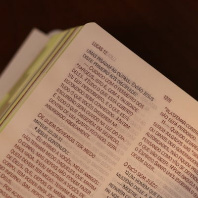 image_9b690808-098d-4ebf-95ec-f5f6007984a8