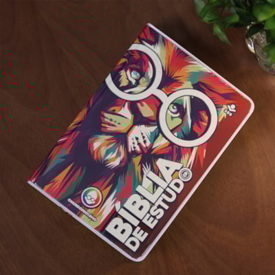 image_2dcbddc2-781d-4092-9e10-ea7dd96bbb60