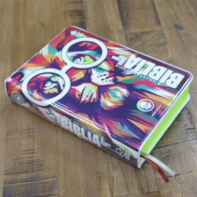 image_ef9bd765-aeb3-416a-93b0-08edf4ab77bf