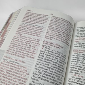 Bíblia de Estudo Kids | NTLH | Letra Grande | O Mundo de Otávio | Capa Dura Leão