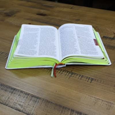 image_11a53615-4584-44c8-9419-ac89cdacac7f