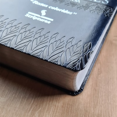 image_cc0edece-109d-4959-9cbb-56f91a7a15c3