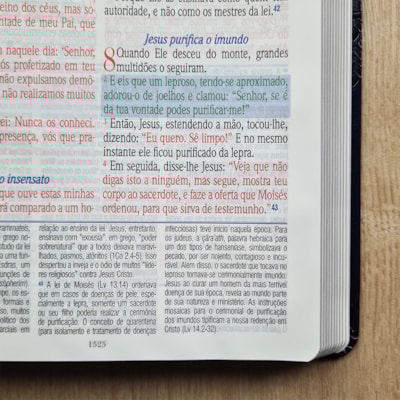 image_9ee26f2f-b806-41dc-ab75-6f6a5c2485c2