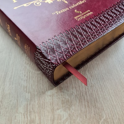 image_262dbe13-5e77-4d24-8d67-e8dd4c6e415e