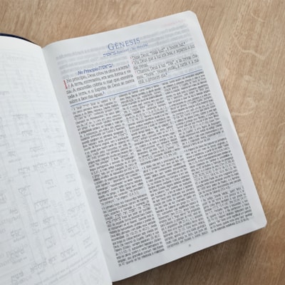 image_28b944ce-aa30-491f-82df-17eafaab9a64