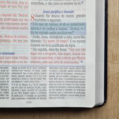 image_5a528b40-3835-410b-b7de-f85e877b22b7