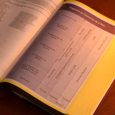 image_dcaa68f0-bf4d-4ad9-b5a5-2384424fed4e