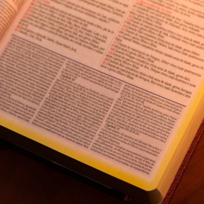 image_f3cfda07-0f47-45f3-bdf7-3d8f843489b4