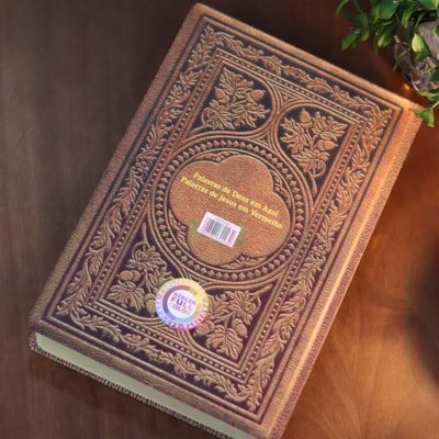 image_ea784d17-ca7e-4d01-ad84-e8a03fcf559a