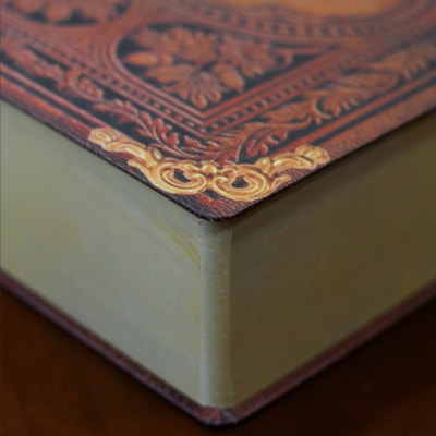 image_658d9a22-cd2d-4e15-9d36-49ae4826d6fa