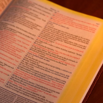 image_89709009-c540-4bee-bf11-b91983179956