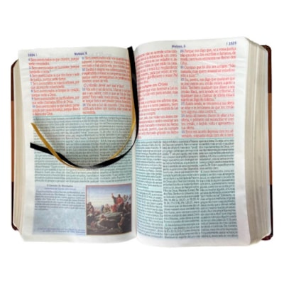 image_f36cebf5-d442-4361-b529-6efb12238b9f