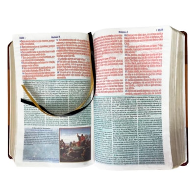 image_9617e3b7-cb11-45ed-b2d0-1cc42a57f4a4