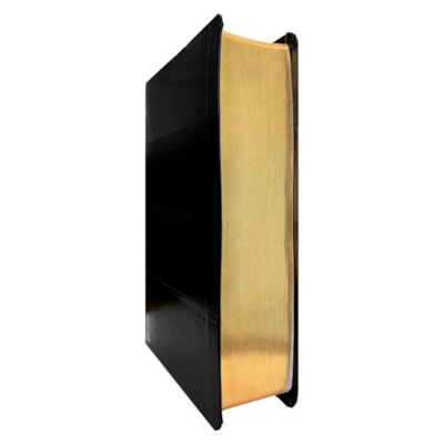 image_0a4c1d24-a81b-4757-9713-743c456cfbf3