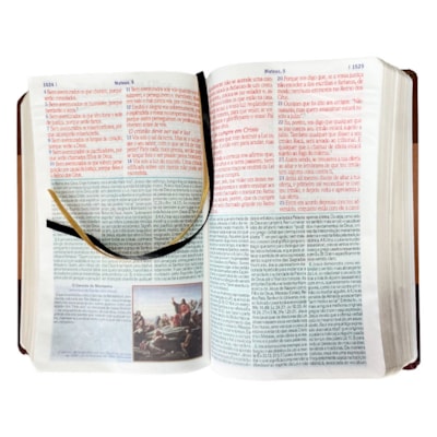 image_03c3c4aa-3834-41ca-8b9f-34adec1b812a