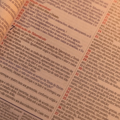 image_576e9f1c-6df2-45e2-a6bf-cc839f4b5630