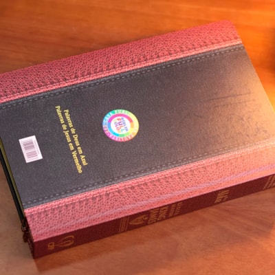 image_446ee593-8005-490a-a90d-fc899d1d7fec