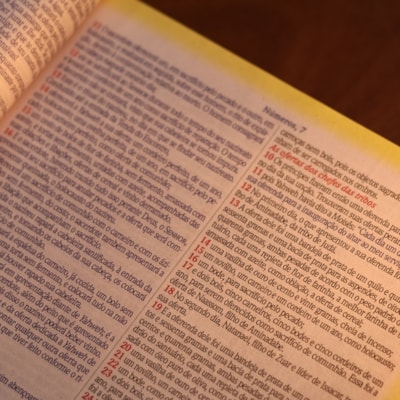 image_08d37c32-e4d3-4b81-a99e-b6b00df5642c