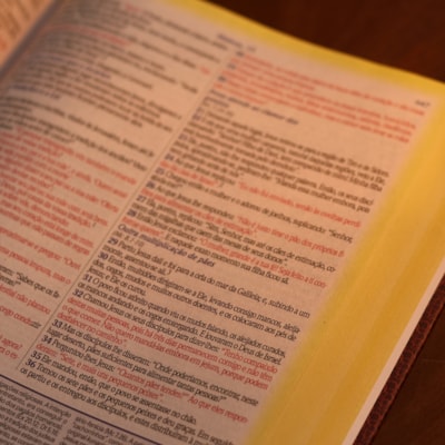 image_c0715dde-56b0-4f7f-ade6-1312e42652dc