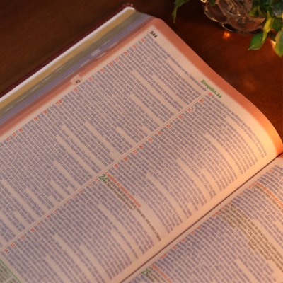 image_5761c936-e115-48d7-96db-aba5a48c855e