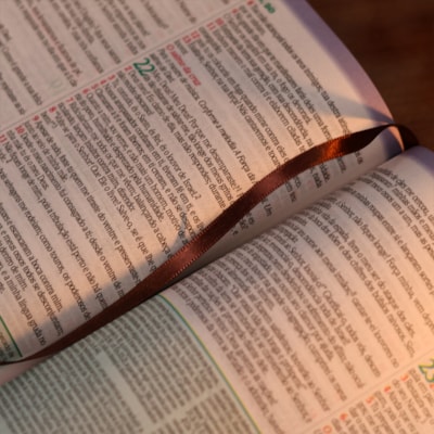 image_12c4960b-43f9-4bd9-9adf-b68d4405beb0