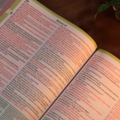 image_d951b2a7-ddf6-4f9c-8f49-5bfb14e90775