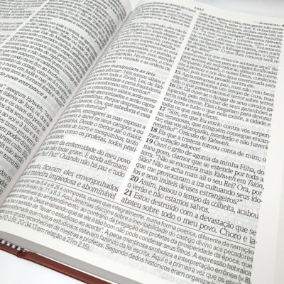 image_013cbae3-2ebc-4d37-aa75-add919b9911d