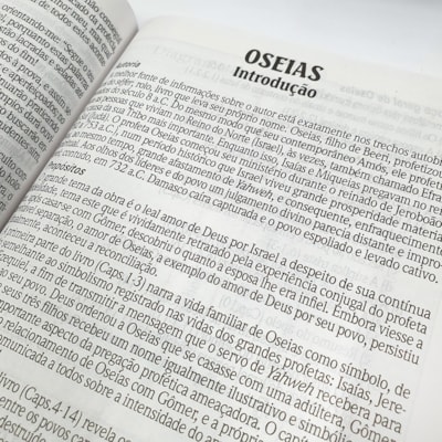 image_773b6527-01e4-4624-ab23-4081c2c07396