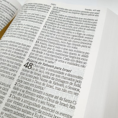 image_9c1bdd40-708d-417b-8153-3b5ffacc24a4