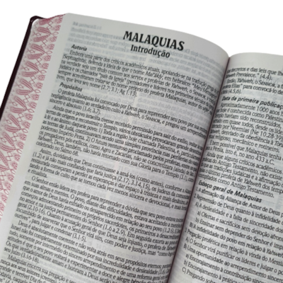 image_bb7000d7-723e-4b2a-9827-8160183f1baf