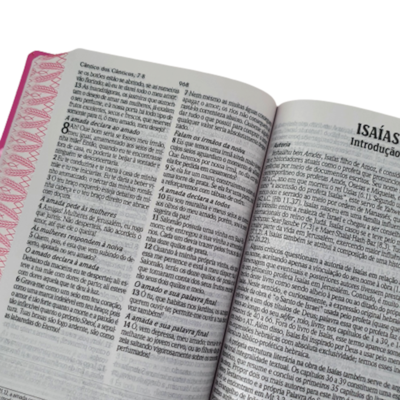 image_4802b4b1-835d-4cb1-ac84-5d7c25121bda