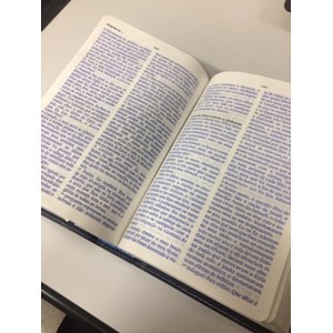 Bíblia de Estudo King James | KJA Letra Grande | Pink