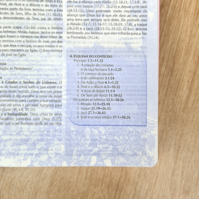 image_e4e623ec-aa20-474e-a9fb-a5a560ca368e