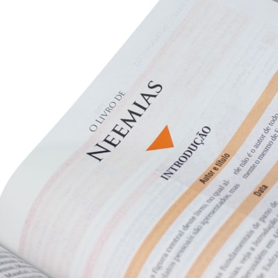 image_2ac668ea-050f-4fa4-ad13-f85f9ec5ac0a