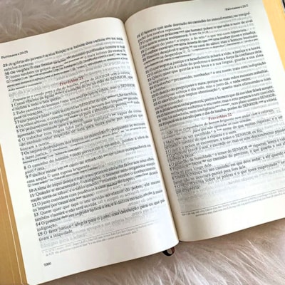 image_6e60d570-a92e-49b5-9150-9e80c555a606