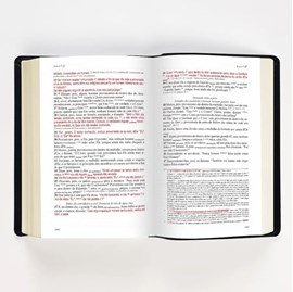 Bíblia de Estudo Literal do Texto Tradicional | LTT | Capa Luxo Marrom