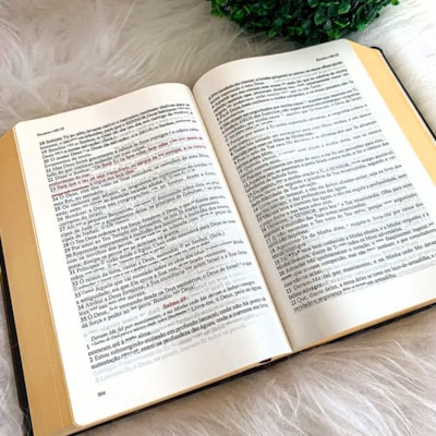 image_53b0fd51-2273-464a-b3f1-07c0152f7655