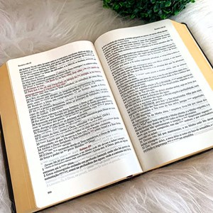 Bíblia de Estudo Literal do Texto Tradicional | LTT | Capa Luxo Preta