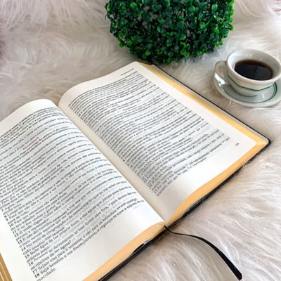 image_dded9dc7-62b0-4b7d-a730-0fe4926d33bf