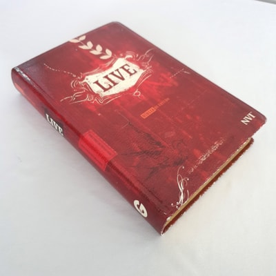 image_0ce32b62-aba5-4ad7-9342-c41bde620f3a