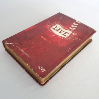 image_09974035-19a3-4eb5-b307-2d15fac4cb9a