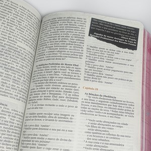 Bíblia de Estudo LIVE | NVI | Letra Média | Capa Luxo Live Tone