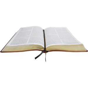 Bíblia de Estudo Macarthur | Letra Normal | ARA | Capa Preta e Marrom Luxo