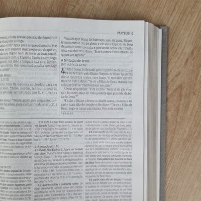 image_ce919815-7aad-4c52-a052-5d387c6e610d